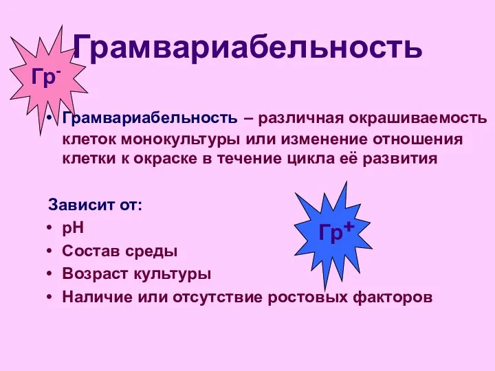 Грамвариабельность Грамвариабельность – различная окрашиваемость клеток монокультуры или изменение отношения клетки