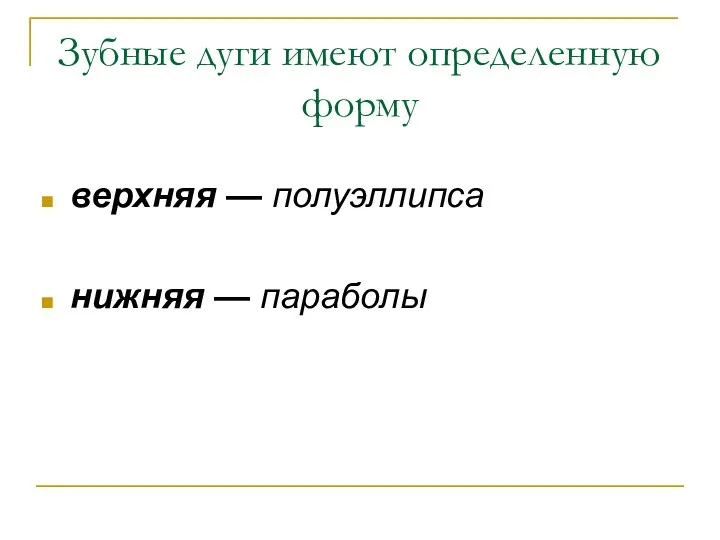 Зубные дуги имеют определенную форму верхняя — полуэллипса нижняя — параболы