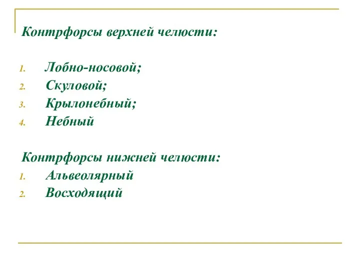 Контрфорсы верхней челюсти: Лобно-носовой; Скуловой; Крылонебный; Небный Контрфорсы нижней челюсти: Альвеолярный Восходящий