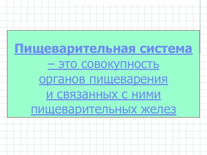 Пищеварительная система – это совокупность органов пищеварения и связанных с ними пищеварительных желез