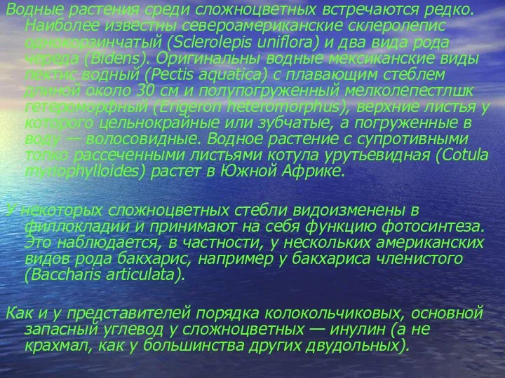 Водные растения среди сложноцветных встречаются редко. Наиболее известны североамериканские склеролепис однокорзинчатый