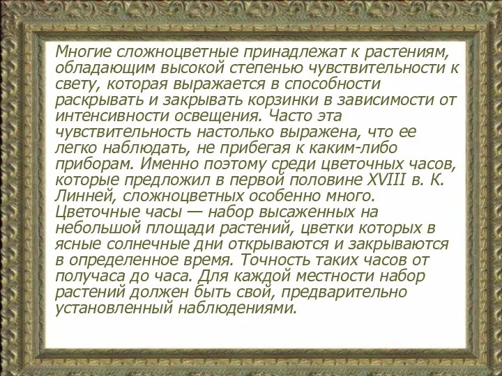 Многие сложноцветные принадлежат к растениям, обладающим высокой степенью чувствительности к свету,