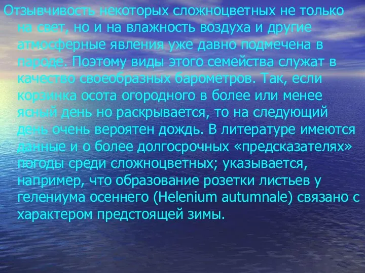 Отзывчивость некоторых сложноцветных не только на свет, но и на влажность