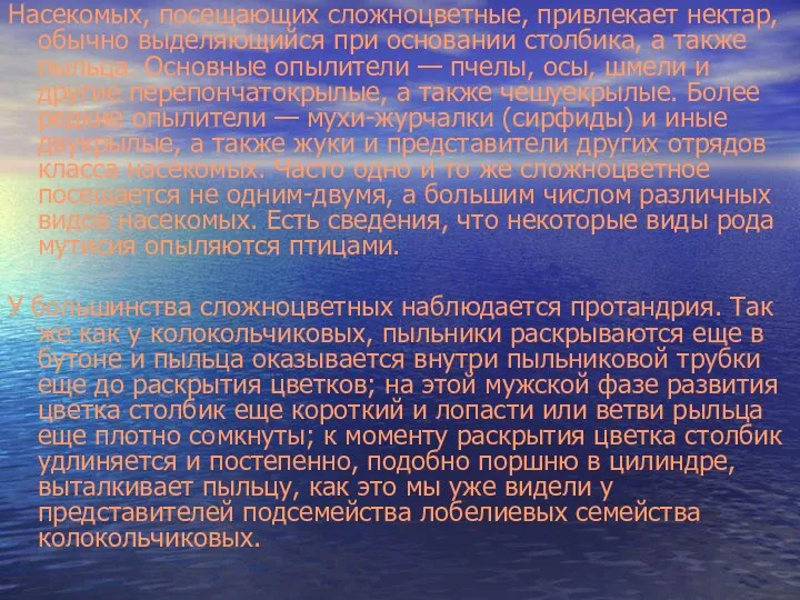 Насекомых, посещающих сложноцветные, привлекает нектар, обычно выделяющийся при основании столбика, а