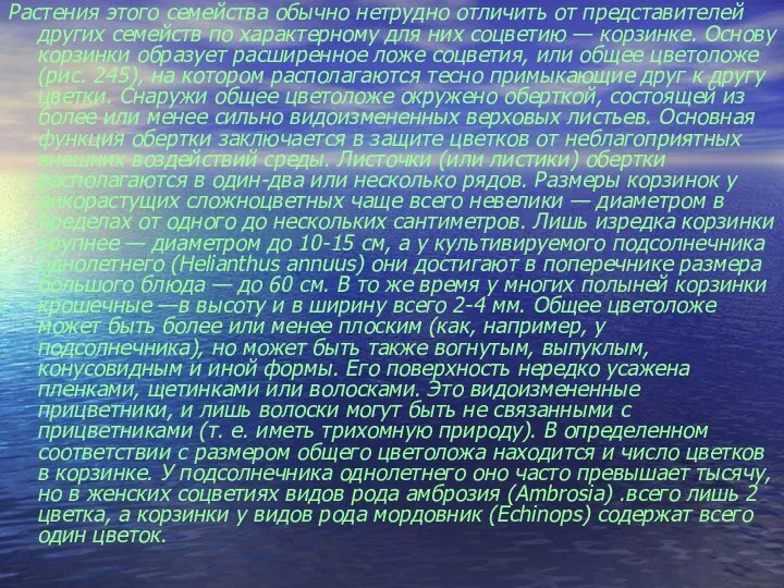 Растения этого семейства обычно нетрудно отличить от представителей других семейств по