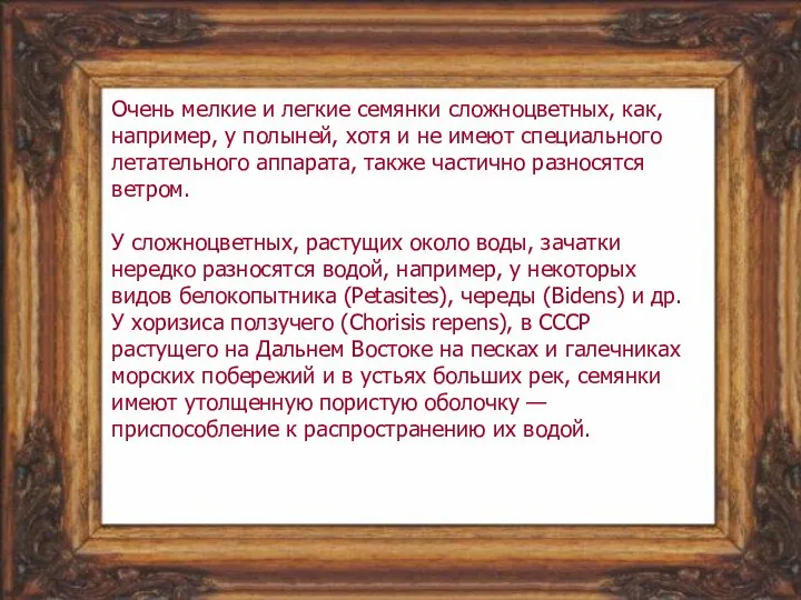 Очень мелкие и легкие семянки сложноцветных, как, например, у полыней, хотя