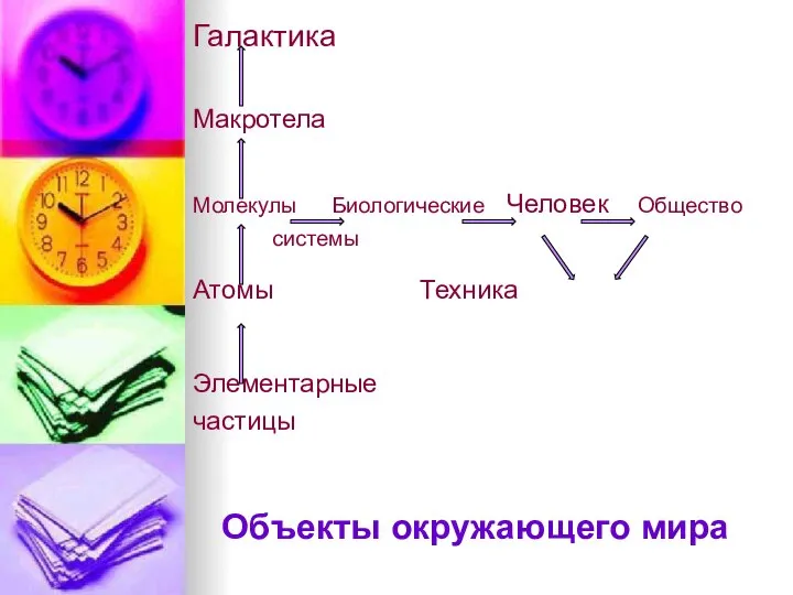 Объекты окружающего мира Галактика Макротела Молекулы Биологические Человек Общество системы Атомы Техника Элементарные частицы