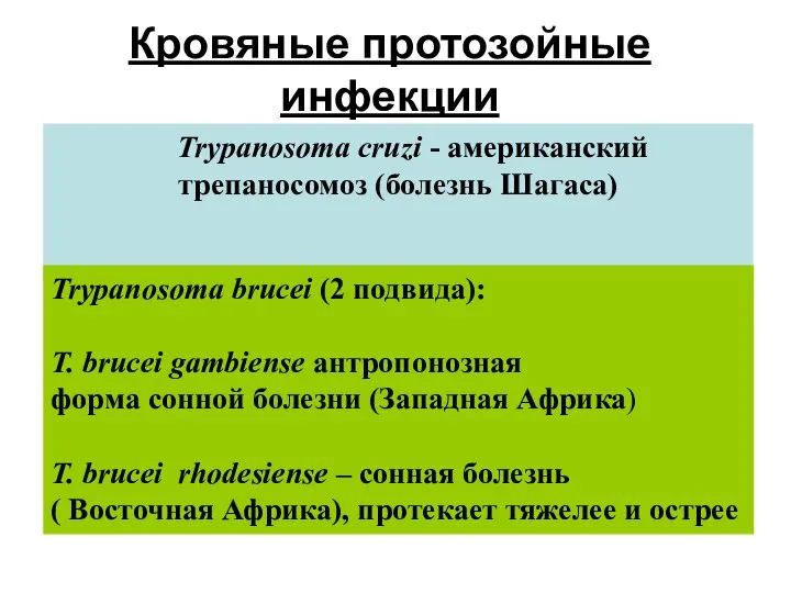 Кровяные протозойные инфекции Трипаносомоз. Trypanosoma cruzi - американский трепаносомоз (болезнь Шагаса)