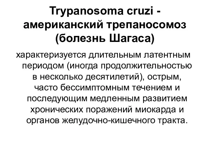 Trypanosoma cruzi - американский трепаносомоз (болезнь Шагаса) характеризуется длительным латентным периодом