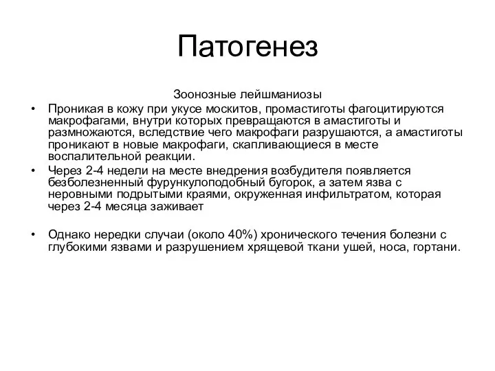 Патогенез Зоонозные лейшманиозы Проникая в кожу при укусе москитов, промастиготы фагоцитируются