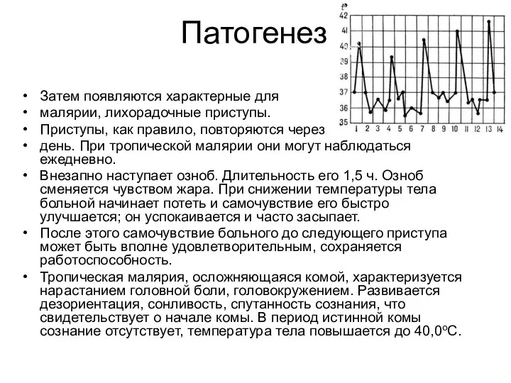 Патогенез Затем появляются характерные для малярии, лихорадочные приступы. Приступы, как правило,