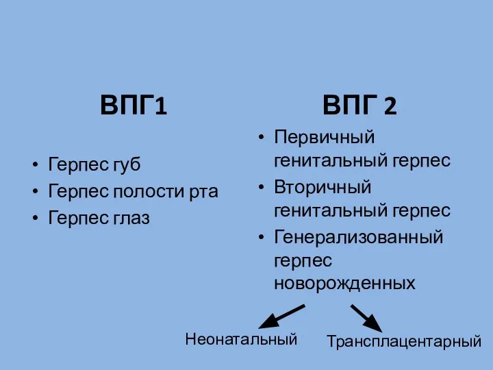 ВПГ1 Герпес губ Герпес полости рта Герпес глаз ВПГ 2 Первичный