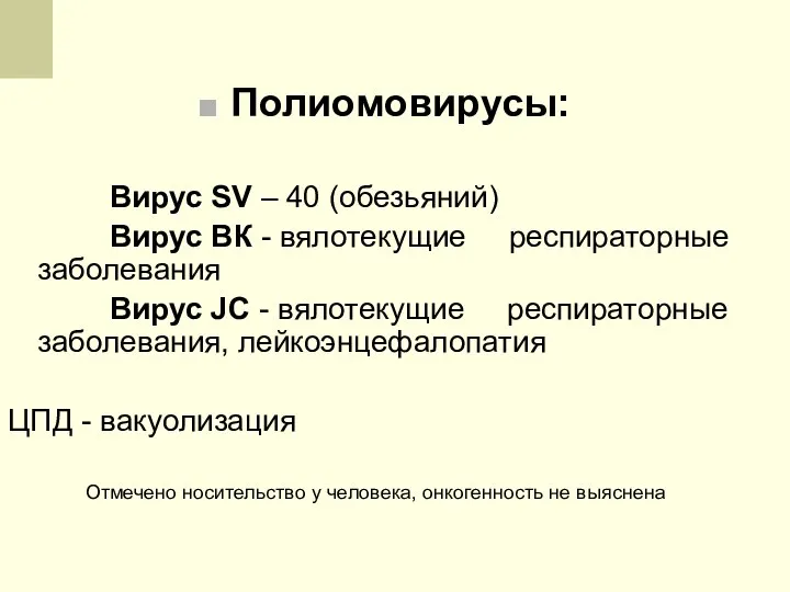 Полиомовирусы: Вирус SV – 40 (обезьяний) Вирус ВК - вялотекущие респираторные