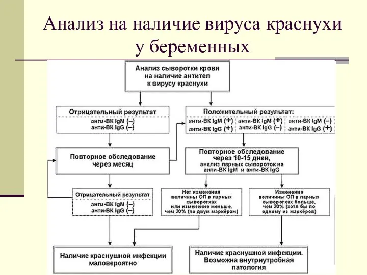 Анализ на наличие вируса краснухи у беременных