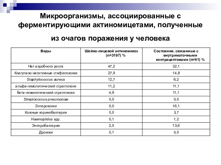 Микроорганизмы, ассоциированные с ферментирующими актиномицетами, полученные из очагов поражения у человека