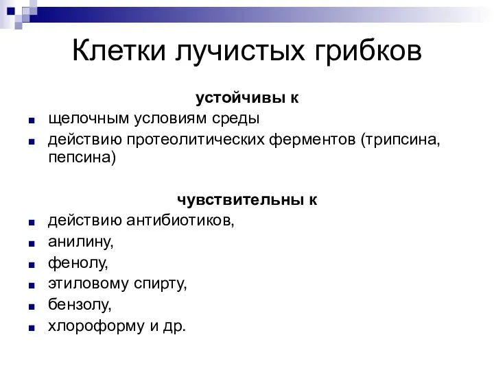 Клетки лучистых грибков устойчивы к щелочным условиям среды действию протеолитических ферментов