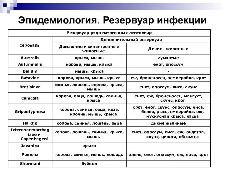 Эпидемиология. Резервуар инфекции