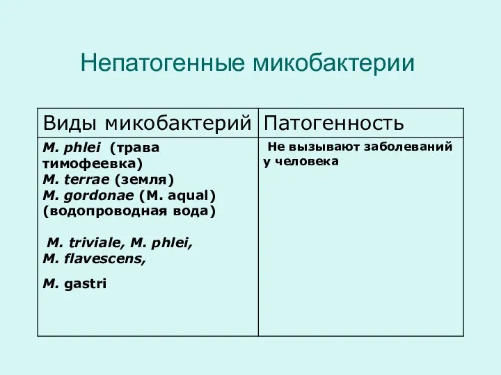 Непатогенные микобактерии