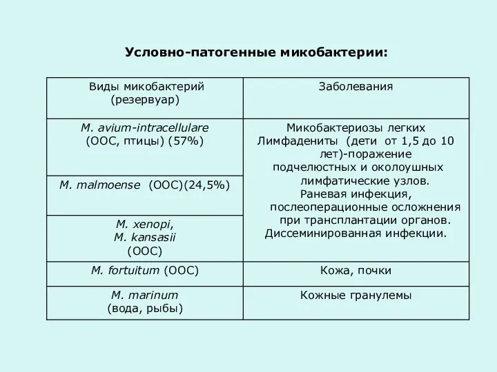 Условно-патогенные микобактерии: