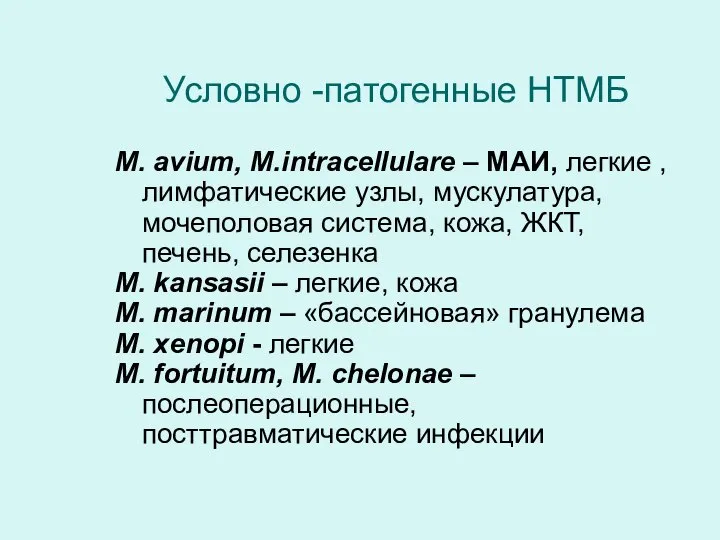 Условно -патогенные НТМБ M. avium, M.intracellulare – МАИ, легкие , лимфатические