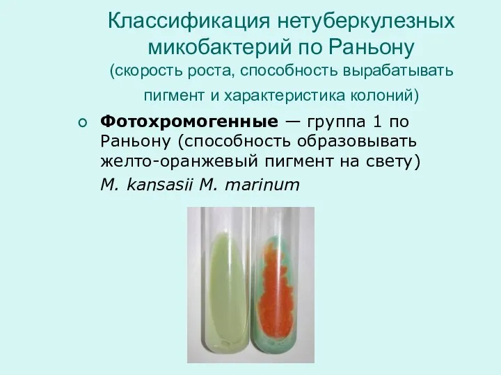 Классификация нетуберкулезных микобактерий по Раньону (скорость роста, способность вырабатывать пигмент и