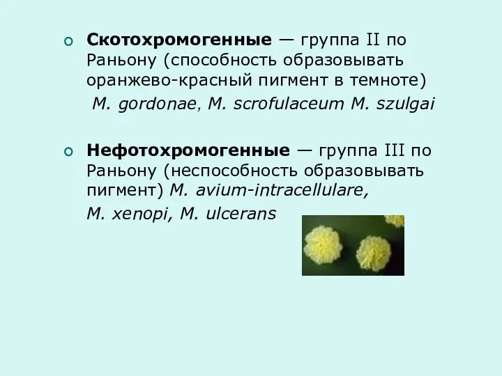 Скотохромогенные — группа II по Раньону (способность образовывать оранжево-красный пигмент в