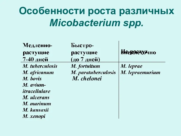 Особенности роста различных Micobacterium spp. М. chelonei