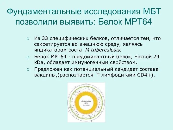 Фундаментальные исследования МБТ позволили выявить: Белок MPT64 Из 33 специфических белков,