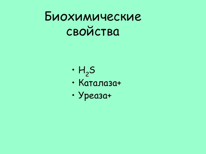 Биохимические свойства Н2S Каталаза+ Уреаза+