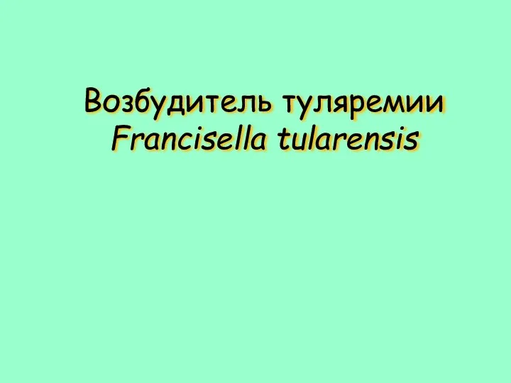 Возбудитель туляремии Francisella tularensis