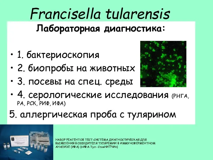 Francisella tularensis Лабораторная диагностика: 1. бактериоскопия 2. биопробы на животных 3.