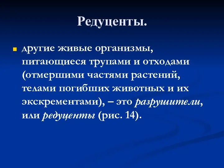 Редуценты. другие живые организмы, питающиеся трупами и отходами (отмершими частями растений,