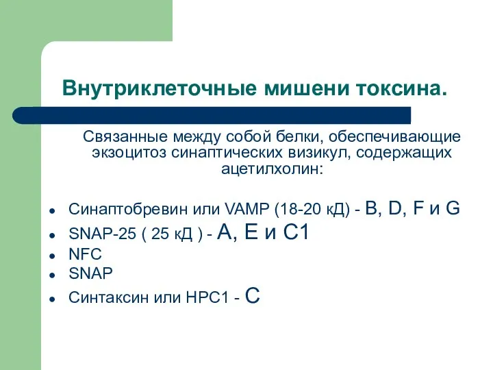 Внутриклеточные мишени токсина. Связанные между собой белки, обеспечивающие экзоцитоз синаптических визикул,