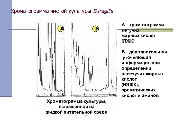 Хроматограмма чистой культуры B.fragilis А Б Хроматограмма культуры, выращенной на жидкой