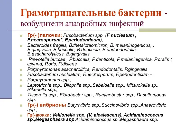 Грамотрицательные бактерии - возбудители анаэробных инфекций Гр(- )палочки: Fusobacterium spp. (F.nucleatum