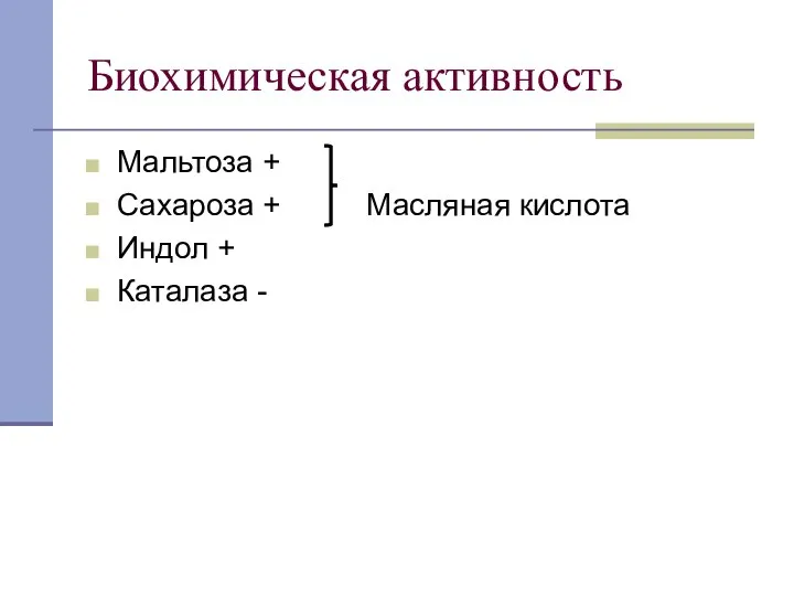 Биохимическая активность Мальтоза + Сахароза + Масляная кислота Индол + Каталаза -