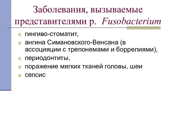 Заболевания, вызываемые представителями р. Fusobacterium гингиво-стоматит, ангина Симановского-Венсана (в ассоцияции с