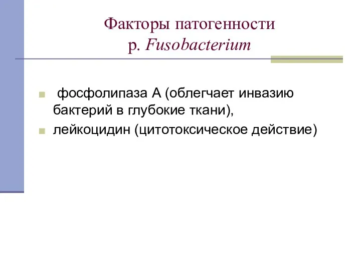 Факторы патогенности p. Fusobacterium фосфолипаза А (облегчает инвазию бактерий в глубокие ткани), лейкоцидин (цитотоксическое действие)