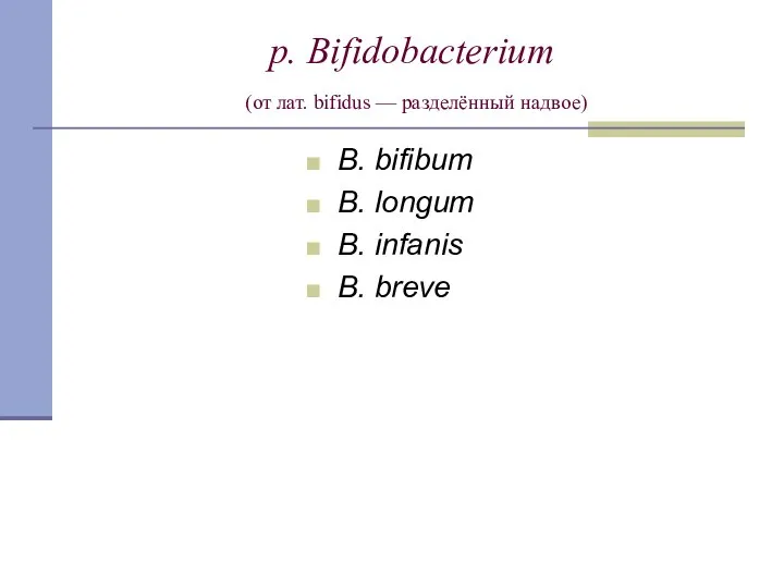 p. Bifidobacterium (от лат. bifidus — разделённый надвое) B. bifibum B. longum B. infanis B. breve