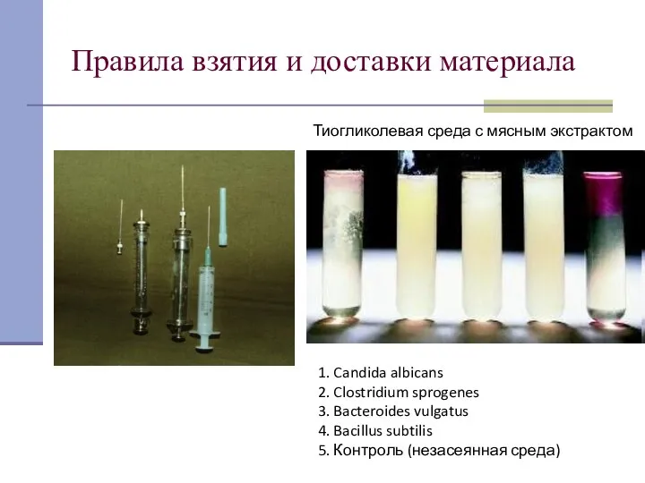 Правила взятия и доставки материала Тиогликолевая среда с мясным экстрактом 1.