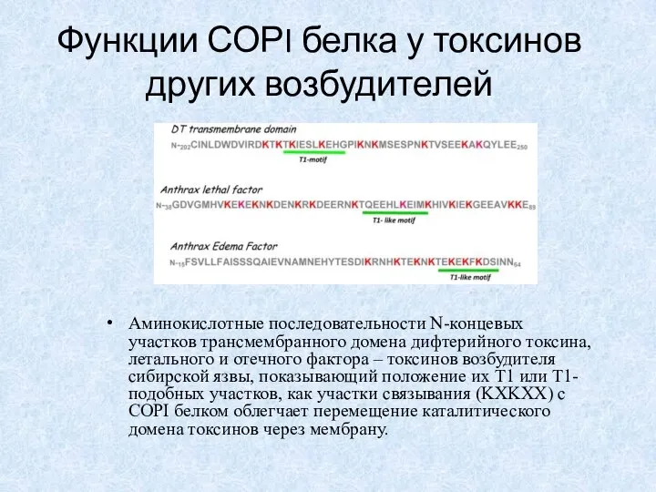 Функции СОРI белка у токсинов других возбудителей Аминокислотные последовательности N-концевых участков