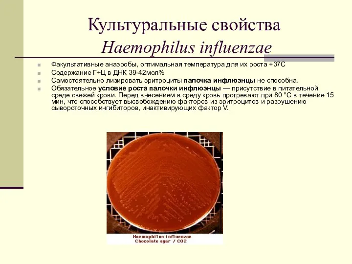 Культуральные свойства Haemophilus influenzae Факультативные анаэробы, оптимальная температура для их роста