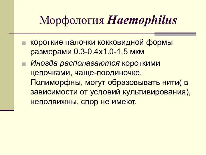 Морфология Haemophilus короткие палочки кокковидной формы размерами 0.3-0.4х1.0-1.5 мкм Иногда располагаются