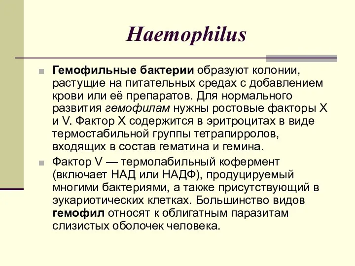 Haemophilus Гемофильные бактерии образуют колонии, растущие на питательных средах с добавлением