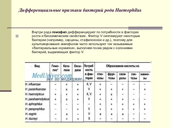 Дифференциальные признаки бактерий рода Haemophilus Внутри рода гемофил дифференцируют по потребности