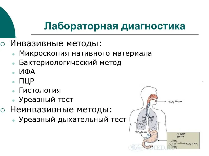 Лабораторная диагностика Инвазивные методы: Микроскопия нативного материала Бактериологический метод ИФА ПЦР