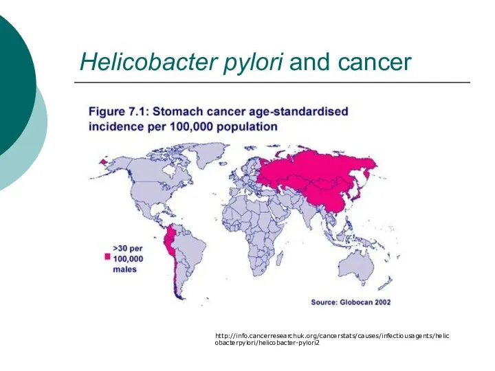 Helicobacter pylori and cancer http://info.cancerresearchuk.org/cancerstats/causes/infectiousagents/helicobacterpylori/helicobacter-pylori2