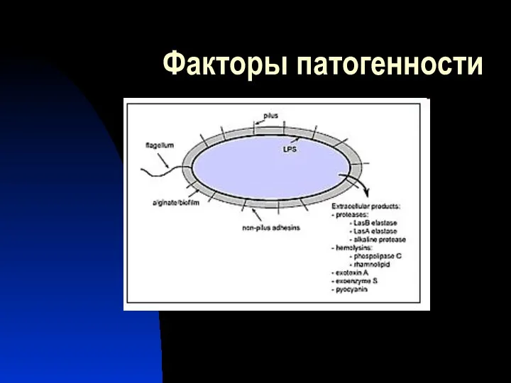 Факторы патогенности