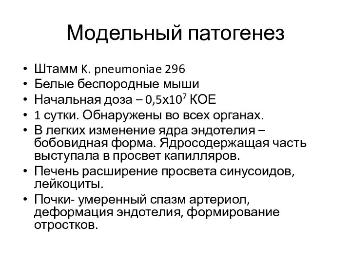 Модельный патогенез Штамм K. pneumoniae 296 Белые беспородные мыши Начальная доза