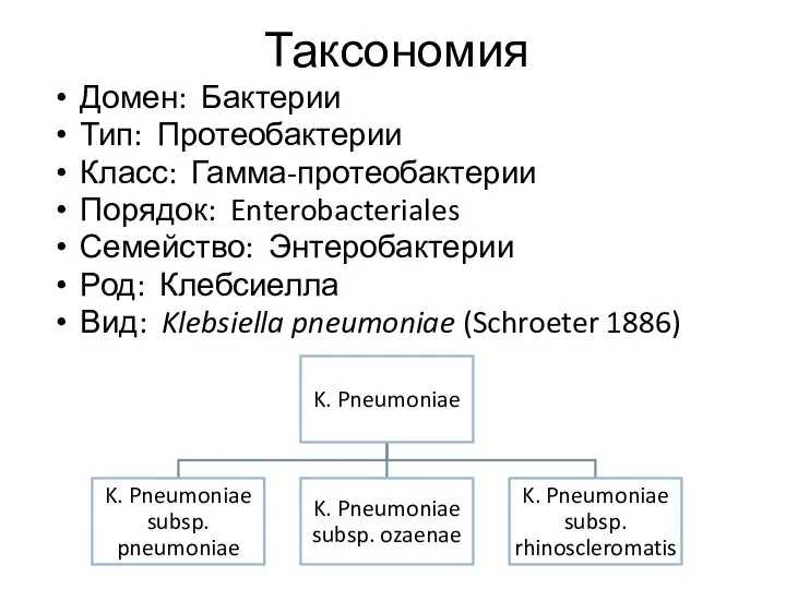 Таксономия Домен: Бактерии Тип: Протеобактерии Класс: Гамма-протеобактерии Порядок: Enterobacteriales Семейство: Энтеробактерии